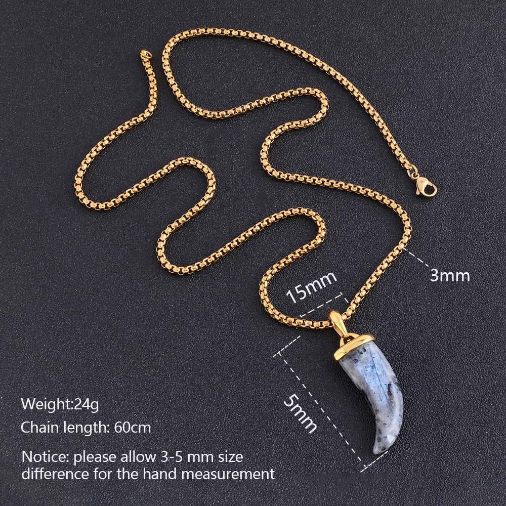 Labradorite Fang Pendant Necklace in Steel