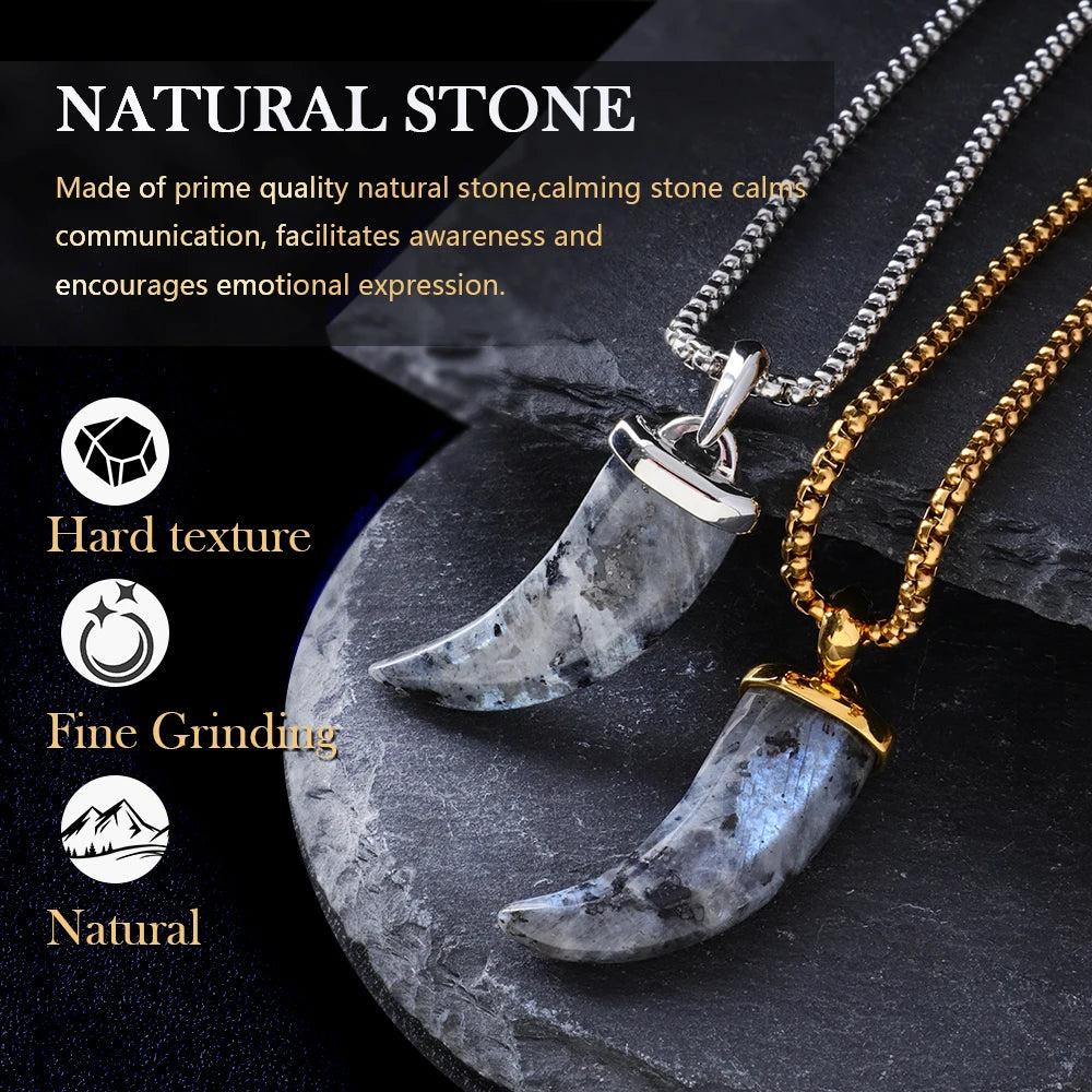Labradorite Fang Pendant Necklace in Steel